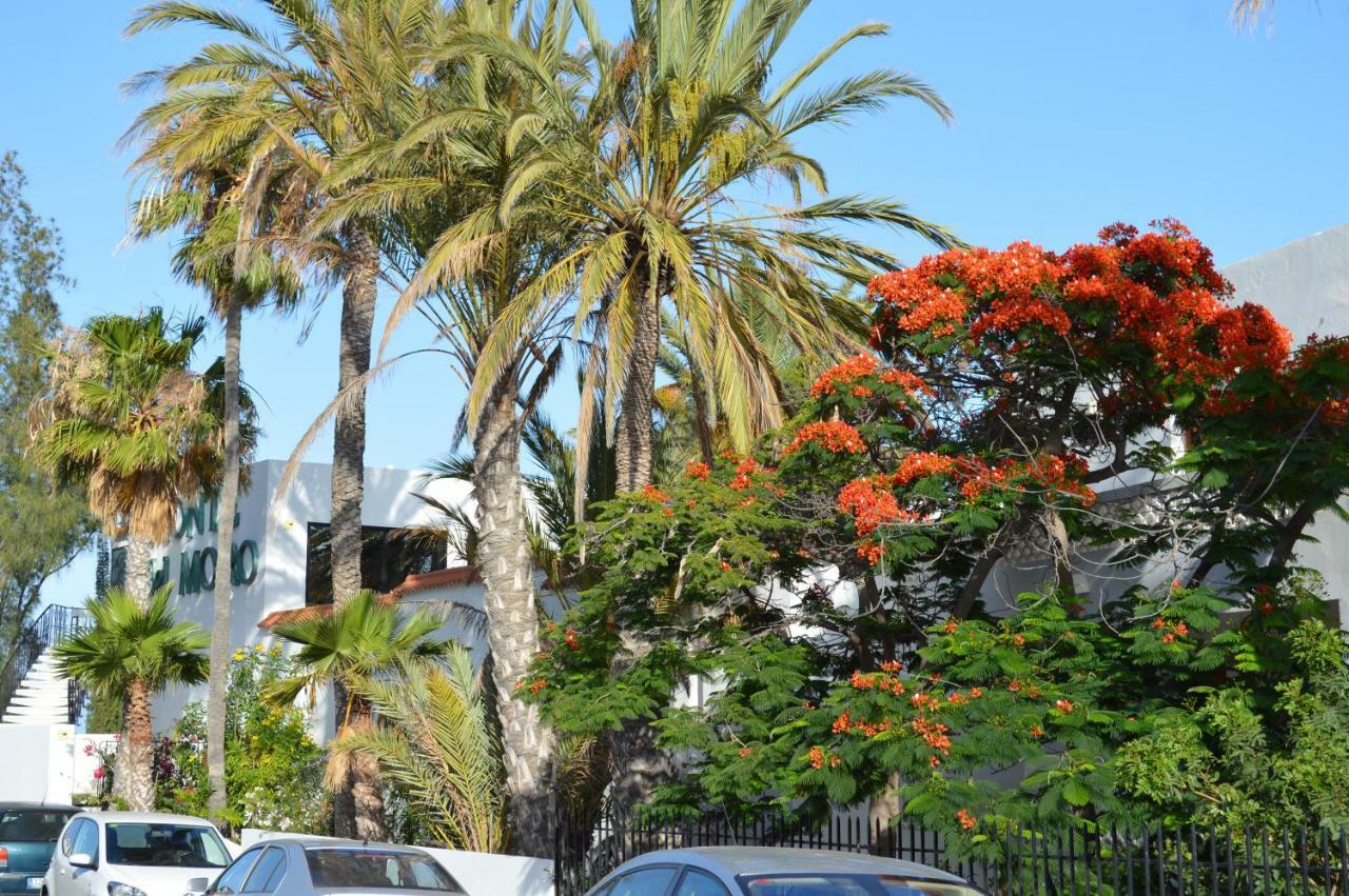 Ocean Loft Lejlighed Maspalomas  Eksteriør billede