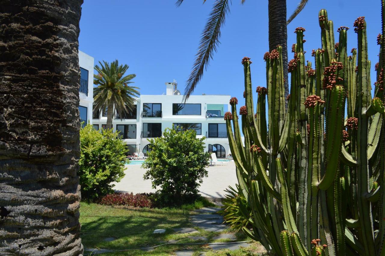 Ocean Loft Lejlighed Maspalomas  Eksteriør billede